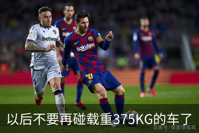以后不要再碰载重375KG的车了