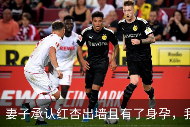 妻子承认红杏出墙且有了身孕，我当天收拾行李离家，4年后在超市碰面，她看着我身边的孩子彻底呆住了