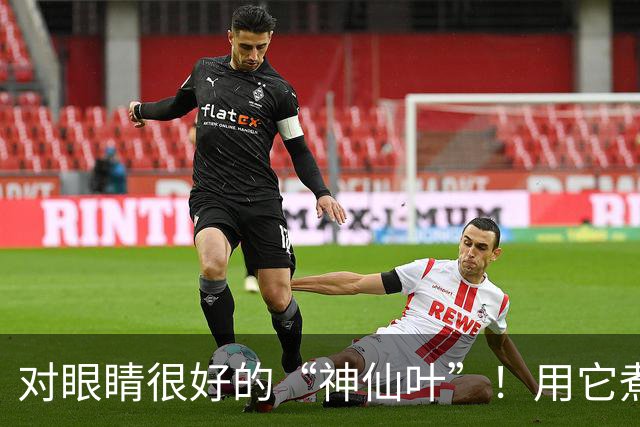 对眼睛很好的“神仙叶”！用它煮水喝，肺也润了，肝也养了，人都显年轻~