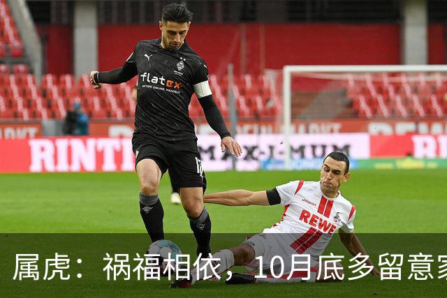 属虎：祸福相依，10月底多留意家门，提前做好家庭防备