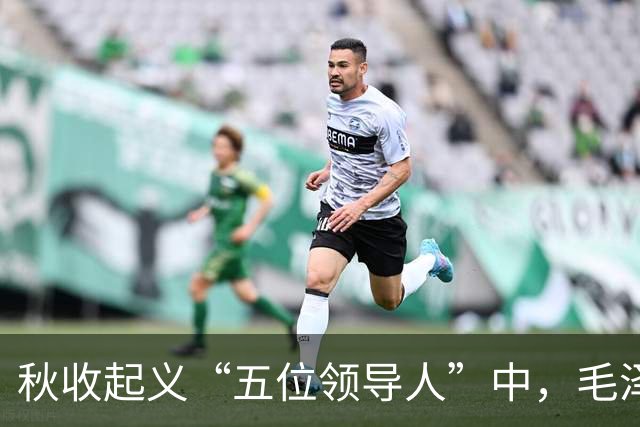 秋收起义“五位领导人”中，毛泽东后来当选国家主席，另外四人的一生经历与最终结局究竟如何？