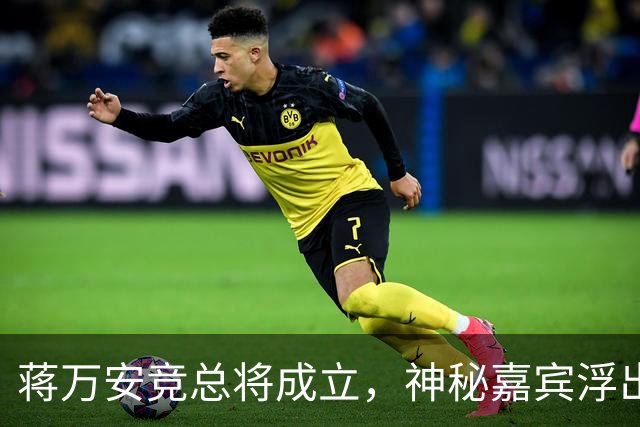 蒋万安竞总将成立，神秘嘉宾浮出水面？赵少康又专访绿营候选人