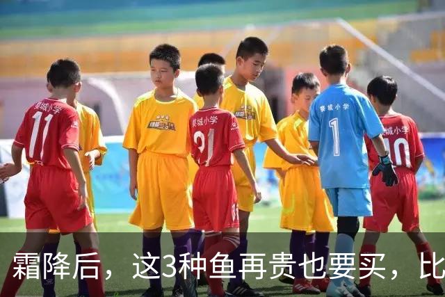 霜降后，这3种鱼再贵也要买，比鲫鱼鲜，比带鱼有营养，要多吃