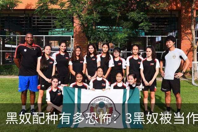 黑奴配种有多恐怖：3黑奴被当作配种工具，子女无数。