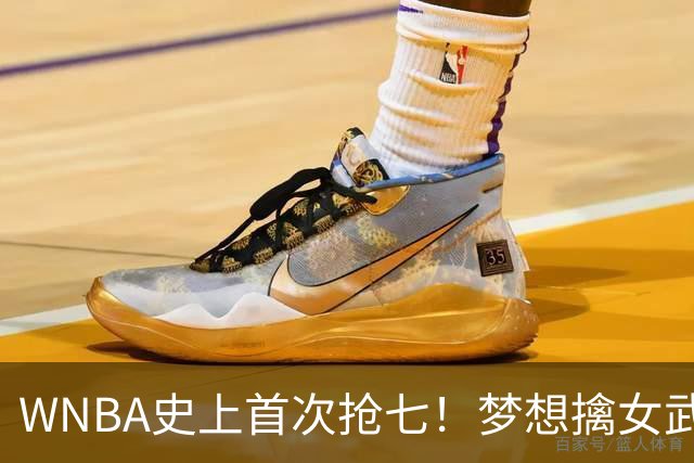 WNBA史上首次抢七！梦想擒女武神扳成3-3 里斯15+13加比26分