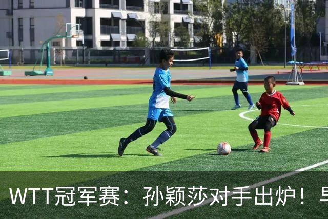 WTT冠军赛：孙颖莎对手出炉！早田希娜3-1胜斯佐科斯晋级8强